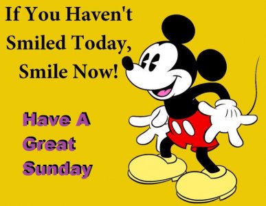 e2f55455784e3774f07b48ac351fad7c--mickey-mouse-disney-quotes.jpg