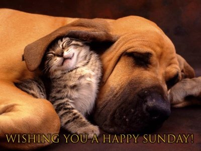 22-happy-sunday.jpg