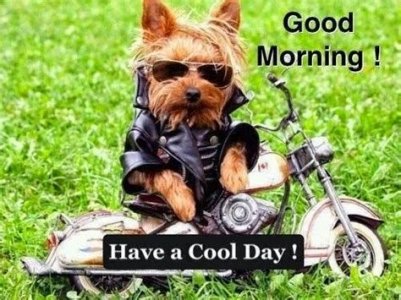 68c916cbf6dc1359e34db709a05b81f0[1].jpg