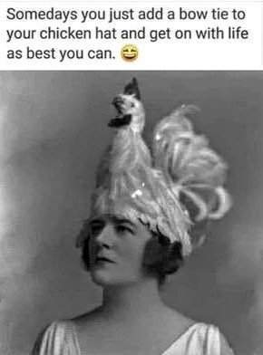 313087345_5776848159074479_6004679564877306286_n.jpg