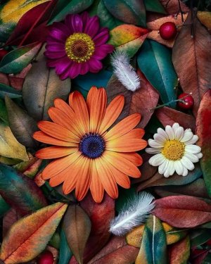 Tumblr_l_187071082710772.jpg