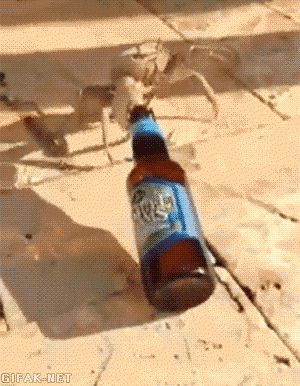 03769d7cd9bc1925b2ecd36bcde4f8bb.gif