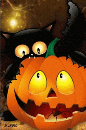 1593d632fa95539885ad15b05f592024[1].gif
