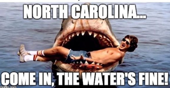 nc.JPG
