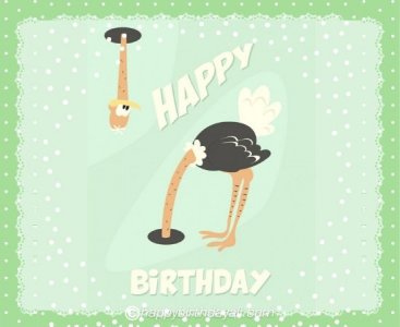 ostrich.jpeg