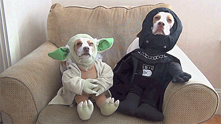 maytheforcebwithu.gif