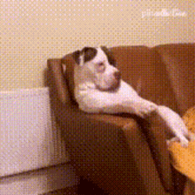 bwithuinfive.gif