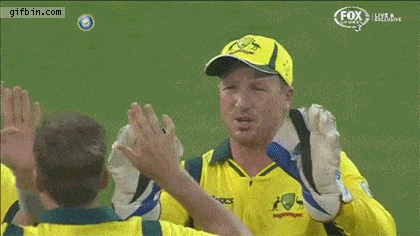 8705546_haddin.gif