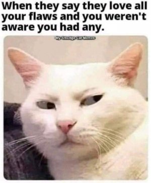 FB_IMG_1666963180865.jpg