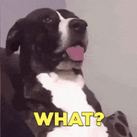 what.outoftreats.gif