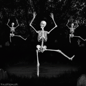 468040a78ca41926cc7a915dd92bf0af[1].gif