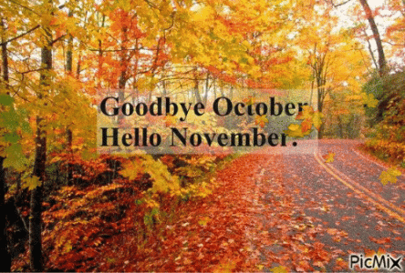 2B4F1ED9-2892-4301-9292-E21BB76A83F6.gif