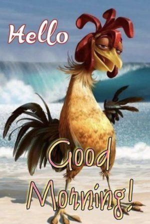 469b78dc4515145dfd25fbb62e9144f7[1].jpg