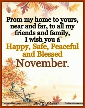 happy November.jpg