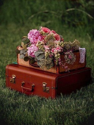 Tumblr_l_187406392535647.jpg