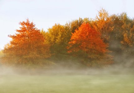 autumn-4530013__480.jpg