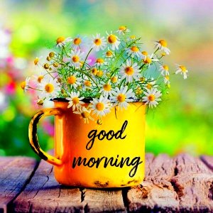 Good-morning-flower-images-quotes.jpg