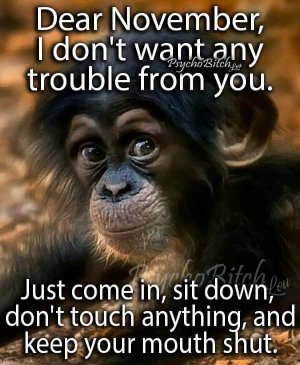 FB_IMG_1667335489340.jpg