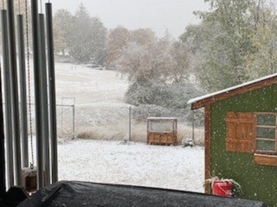 decked in snow.jpg