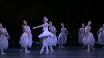 ED92A161-0C0E-446E-87F3-23390E10D600.gif