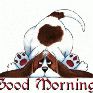C54B4B1B-691B-49F9-AF6E-DC426E9A43A6.gif
