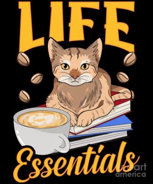 cute-life-essentials-are-coffee-books-and-cats-the-perfect-presents.jpg