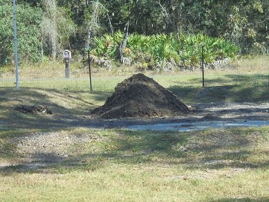 mulch.JPG