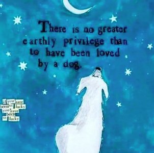 lovedbyadog.jpg