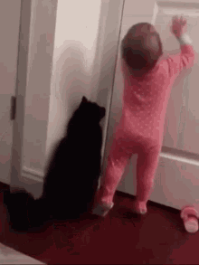 door-opener-cat.gif