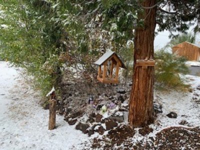 refuge.jpg
