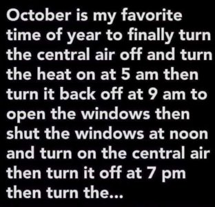 florida fall.jpg