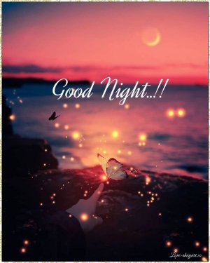 good-night-893.jpg