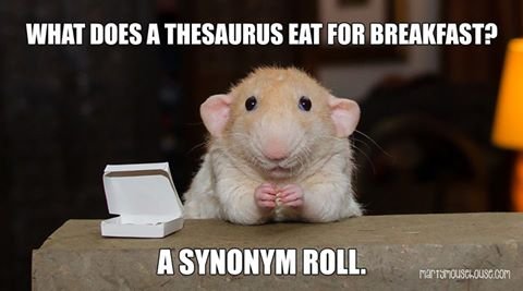 Squirrel Synonmy roll.jpg