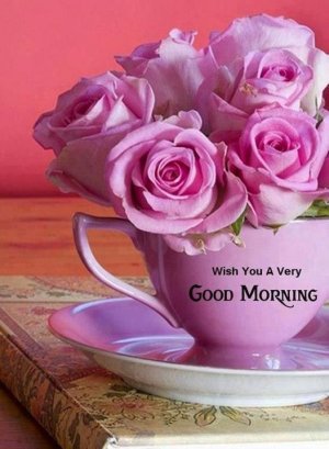 roses good morning.jpg