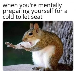902F41BC-CC5F-44CA-824C-DE331FD326F1.jpeg