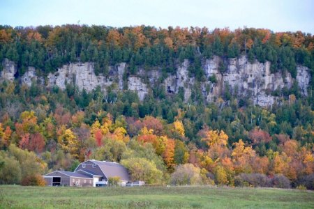 mount-nemo-conservation (2).jpg