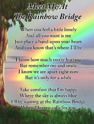 rainbow bridge.jpg