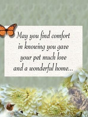 11c7c1f7400f21700ba8e15e9ad63379[1].jpg