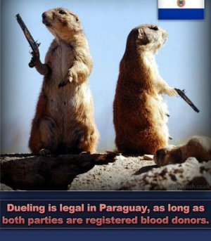 up_your_general_knowledge_with_these_fun_facts_640_32.jpg