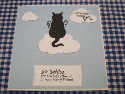 Sympathy Cat copy.jpg