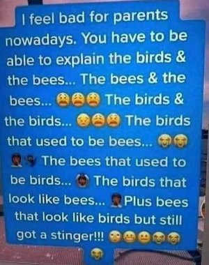 bees etc.jpg