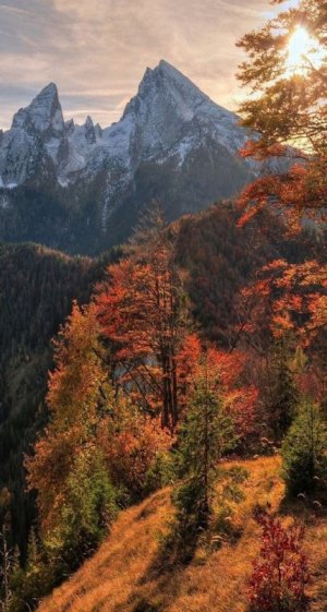 7f7dd09a7ba93a2849b68b4ab6c8c081[1].jpg
