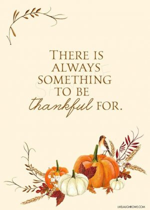 5907b0e45cdb432c58bf62ed74201efd[1].jpg