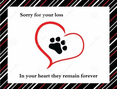 R (2)_kindlephoto-171664045.jpg