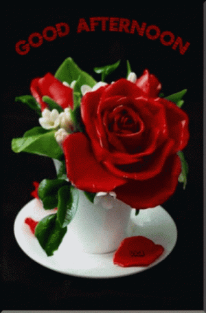 61767_3.gif