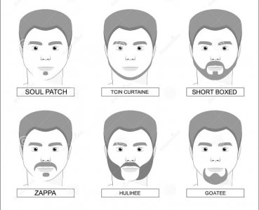 various-types-collection-moustache-beards-titles-such-as-soul-patch-tcin-curtain-short-boxed-z...jpg