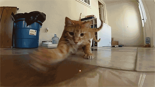 laser.gif