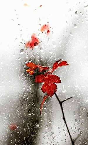 Tumblr_l_10810328640651.gif