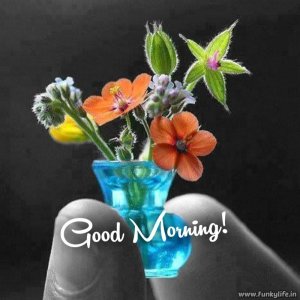 funkylife-good-morning-images-17.jpg