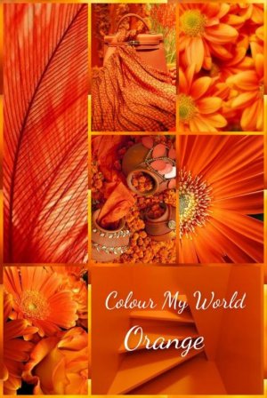 9cd4c0ba20a95a76a6112b7ce556da5b[1].jpg
